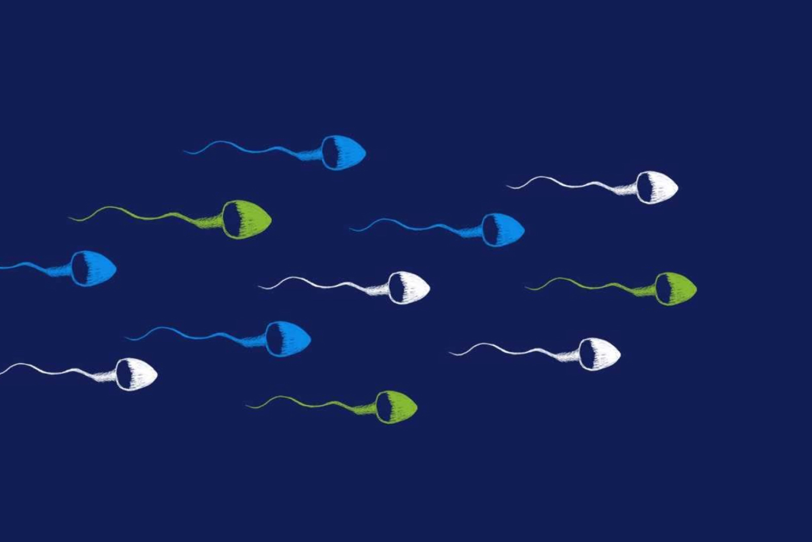 Male Factor Infertility: ‘Cause Sperm Matters