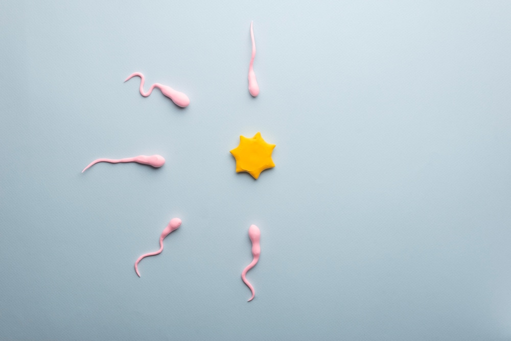 A Breakdown of Sperm Disorders from our Male Fertility Clinic